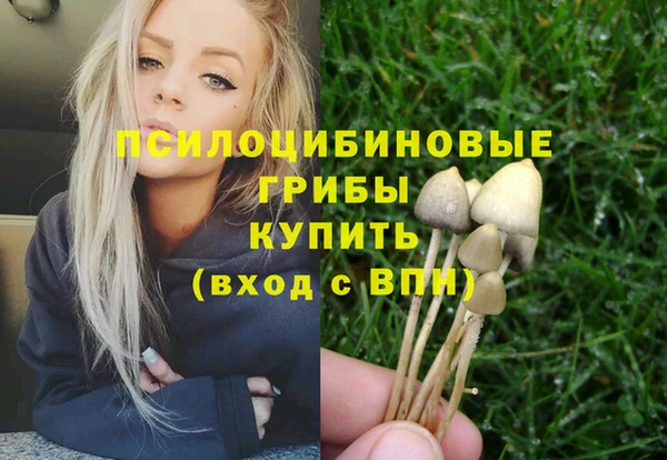 PSILOCYBIN Покровск