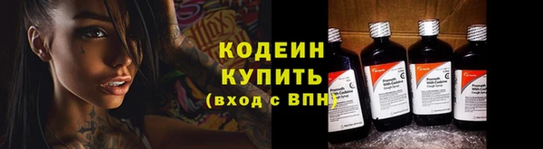 ECSTASY Покачи