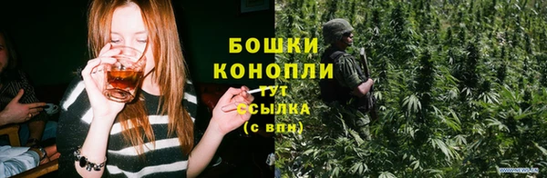 ECSTASY Покачи
