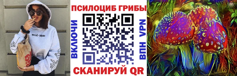 Псилоцибиновые грибы GOLDEN TEACHER  Кизляр 