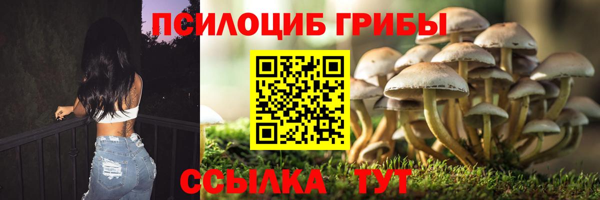 Галлюциногенные грибы Psilocybe  Вход с VPN  Кизляр  Галлюциногенные грибы прущие грибы 
