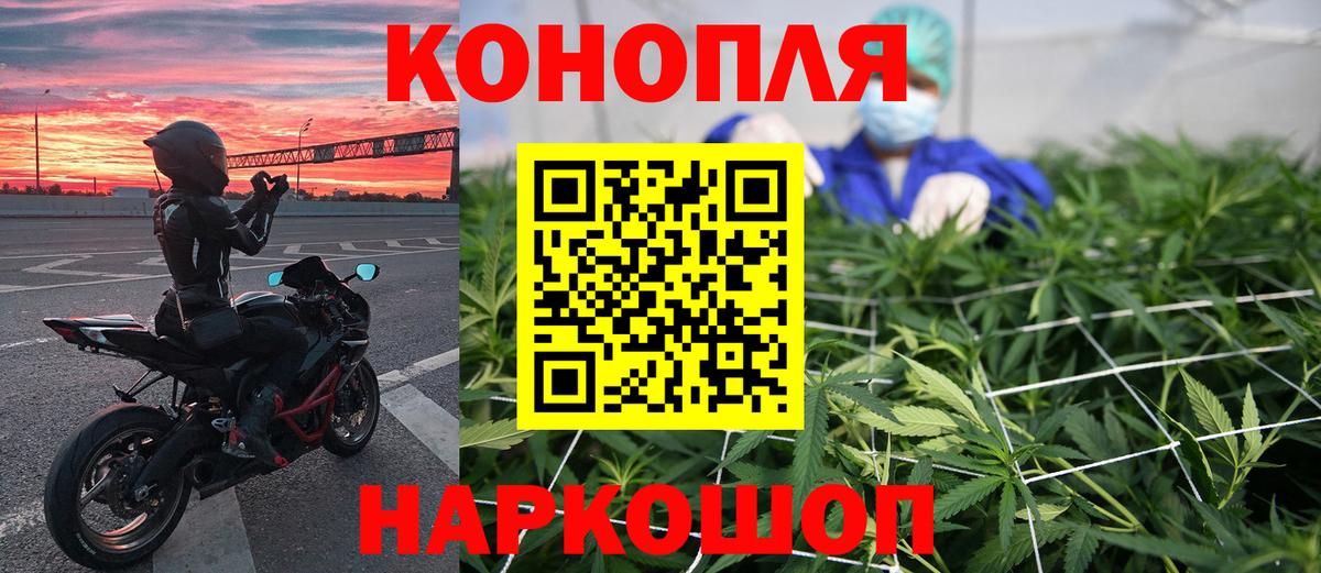 Кизляр  Каннабис планчик  Каннабис THC 21%  Вход с VPN  Конопля SATIVA & INDICA 